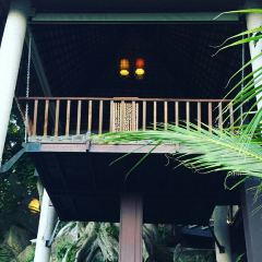 Tree Tops Signature Dining User Photo