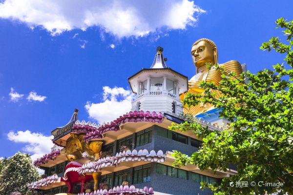 Colombo til Sigiriya ​​fly