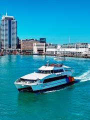 Harbour Cruise