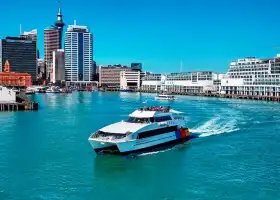 Harbour Cruise