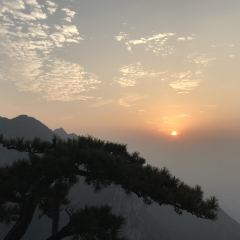 小院子酒家 User Photo