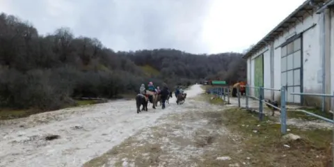 Azienda Agrituristica Centro Ippico Vallecupa Restaurant