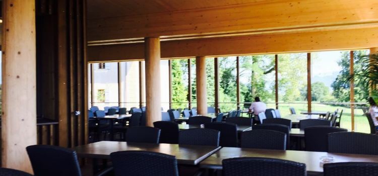 Albero Restaurants und Events