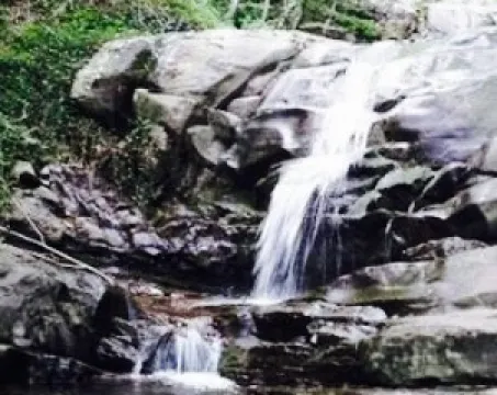 Ristorante Le Tre Fonti