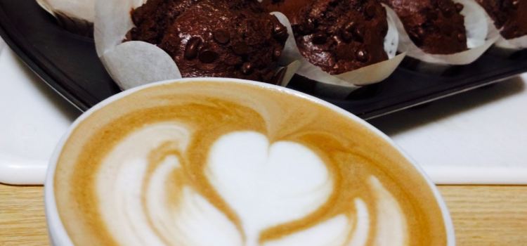 Bird Dogs Coffee