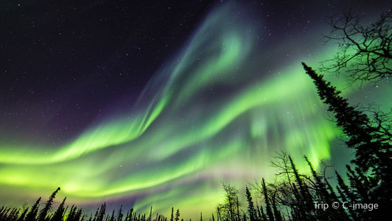 Aurora Chasing in Fairbanks