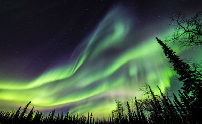 Aurora Chasing in Fairbanks