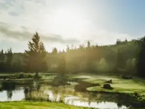 Niblick's Cafe at Port Ludlow Golf Club