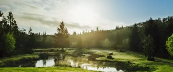 Niblick's Cafe at Port Ludlow Golf Club