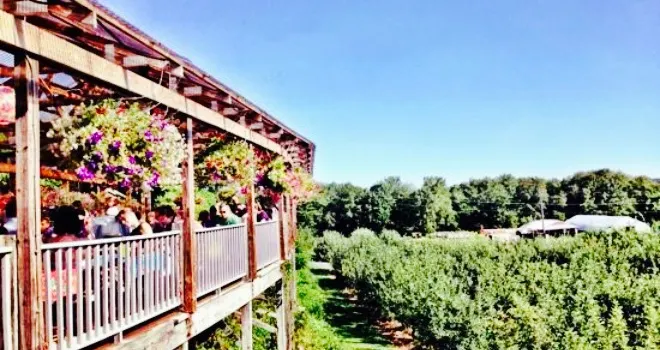 Rose's Berry Farm Sunday Breakfast