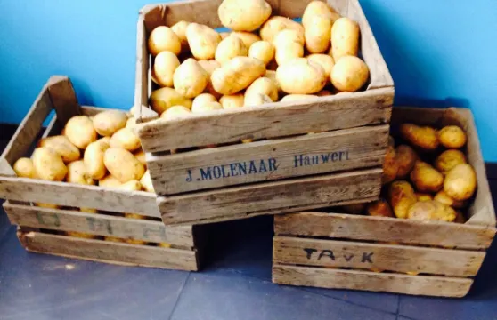 Hooked on fish and chips