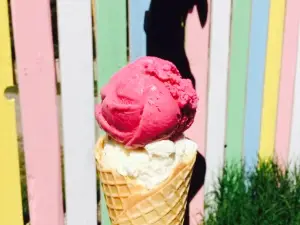 Scoops and Snacks