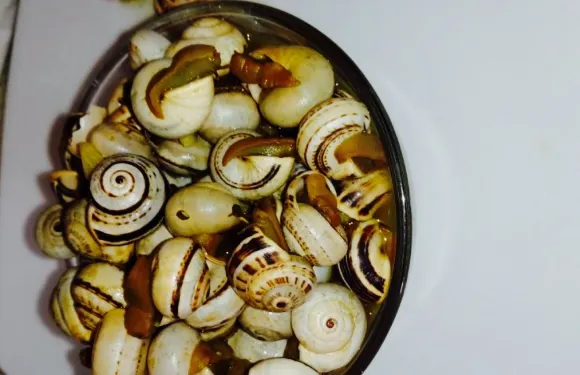 Pension Restaurante Isidro