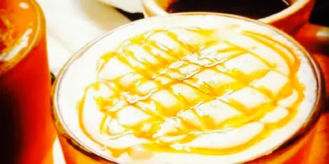 Musea, Toba Aquarium