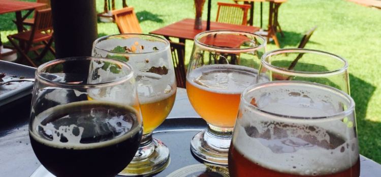 El Príncipe Gris - Cervecería Artesanal