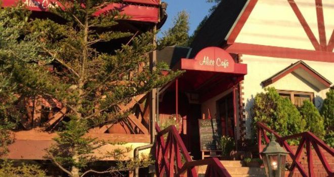 Alice Cafe