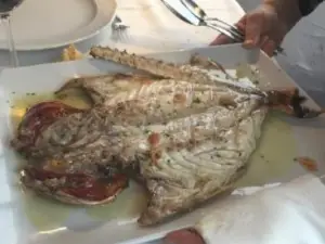 Asador Hondartzape Erretegia