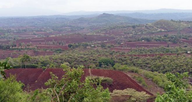 Rhotia Valley's Coffee Corner
