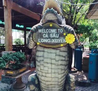 Tra Ca SauLong Xuyen