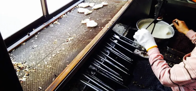 Yonezawa Taiyaki