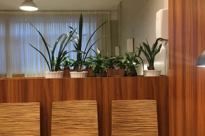 ZHOU BIAN KE ZI ZHU KUAI CAN