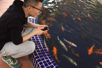 麥當勞(惠南大道店)