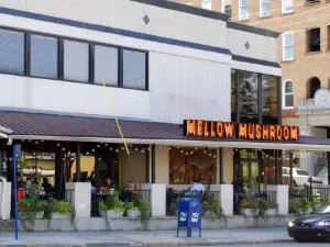 Mellow Mushroom Birmingham