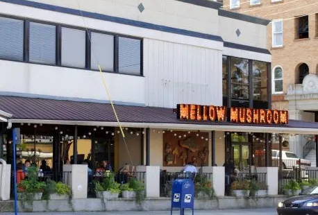 Mellow Mushroom Birmingham