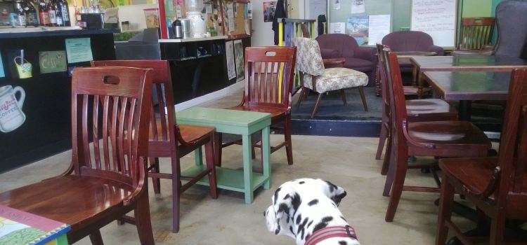 Cafe Zippy
