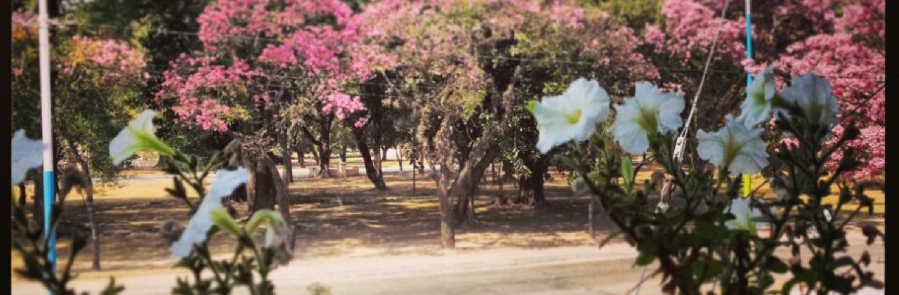 Mi Nueva Estancia Park Restaurant