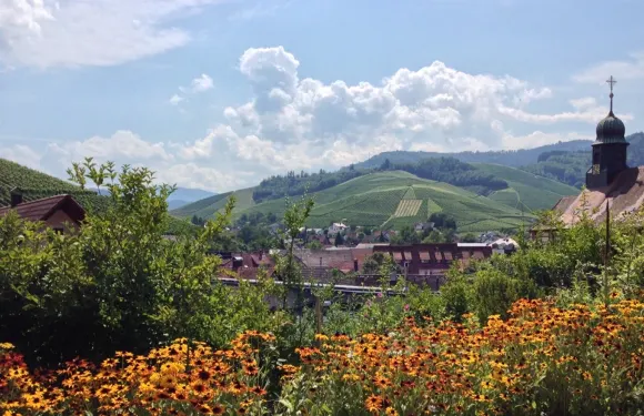 maki:‘dan im Ritter