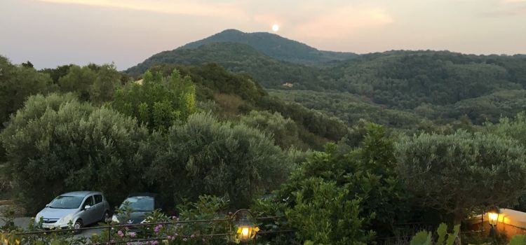 Cafe-Restaurant "Archontiko"
