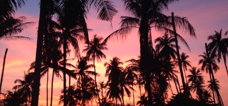 Beachlounge - Thong Sala