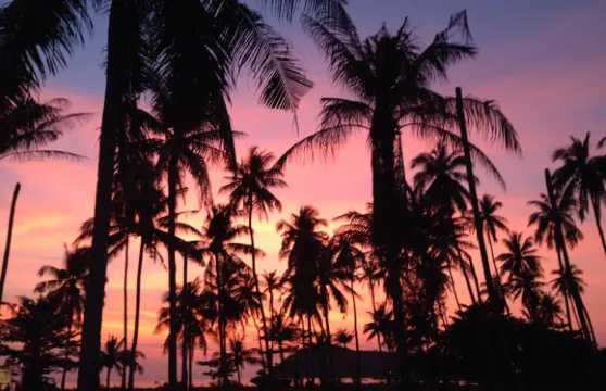 Beachlounge - Thong Sala