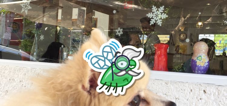Seoul Kitchen (Nadeuri Kitchen Foods)