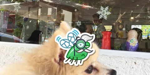 Seoul Kitchen (Nadeuri Kitchen Foods)