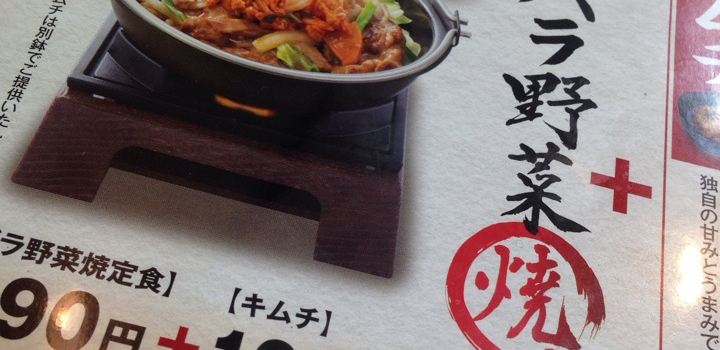 Yoshinoya Route 1 Anjo