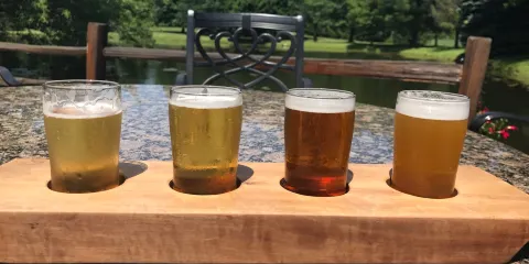 Hamburg Brewing Company