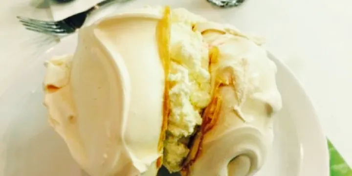 Bridgend Garden Centre Ltd