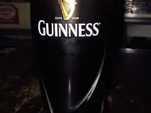 DOG‘S NOSE