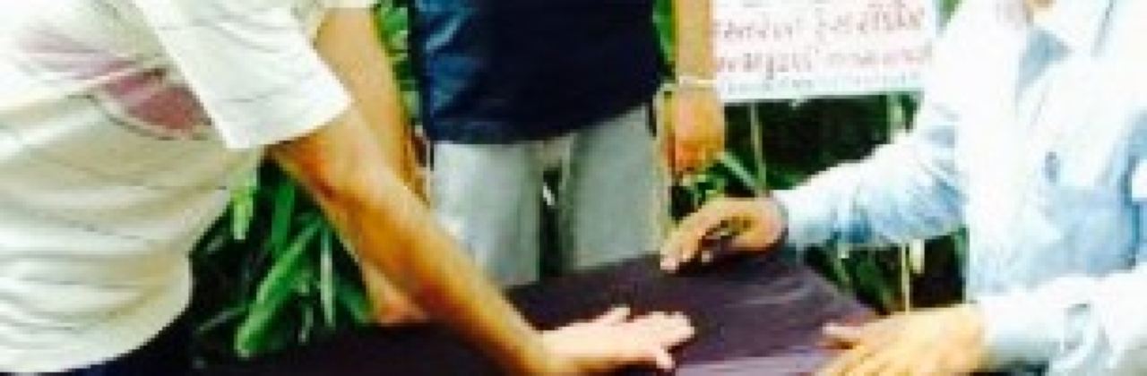 Nirali Restaurant & Party Lounge