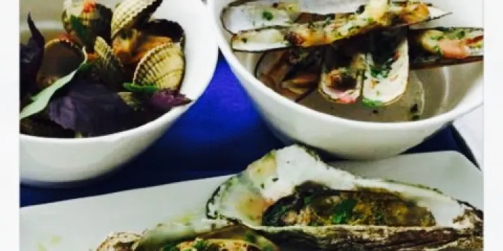 Brasserie Vluchthaven