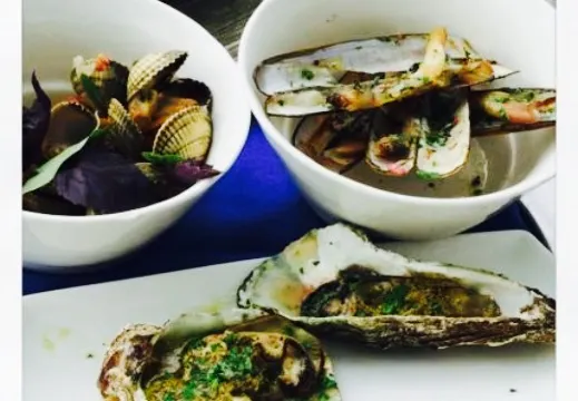 Brasserie Vluchthaven