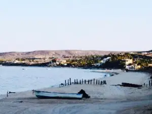 Bay View Restaurant