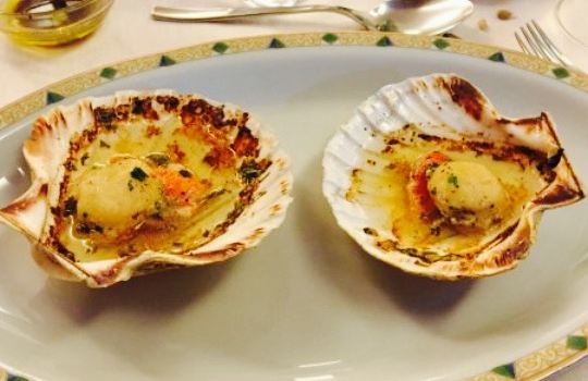 Trattoria Hotel Tappa Fissa