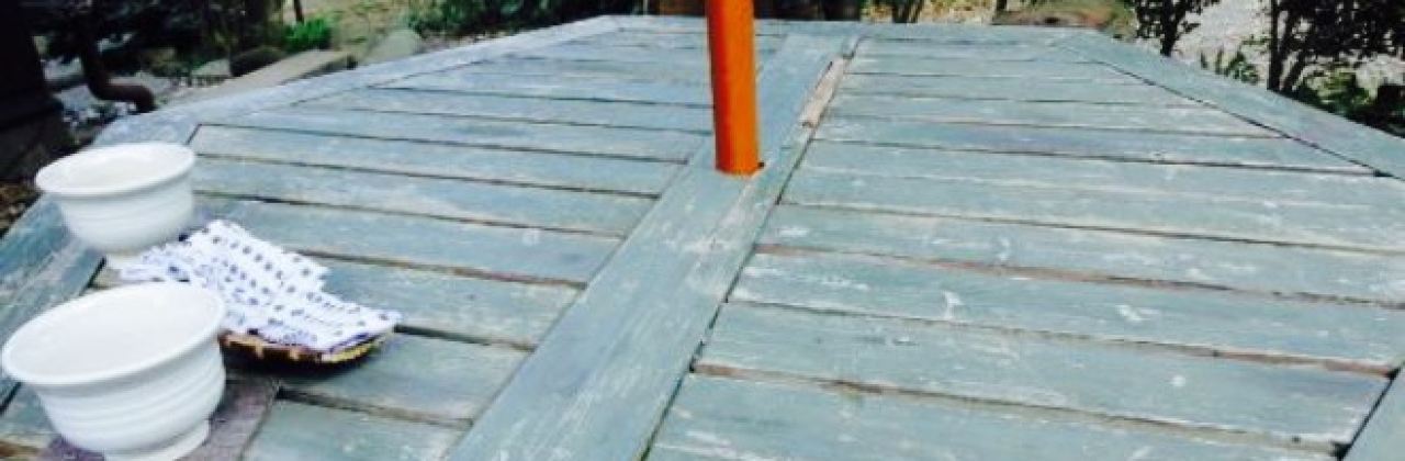 Soba & Millet Dish Toto