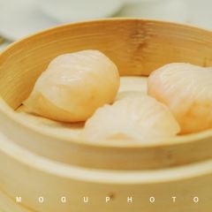 Xiyue8hao (nanjingdonglu) User Photo