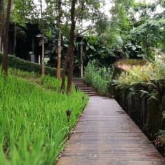 The Higher Room (Veranda) User Photo