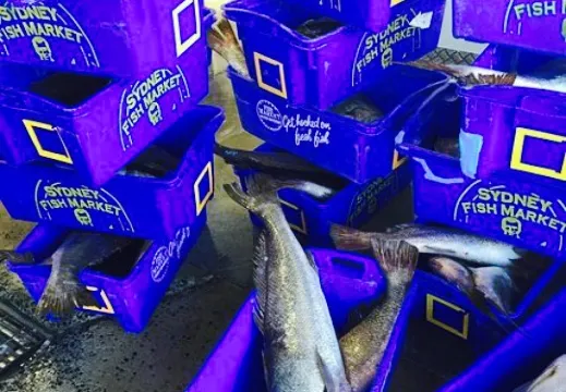 Northern Rivers Seafoods