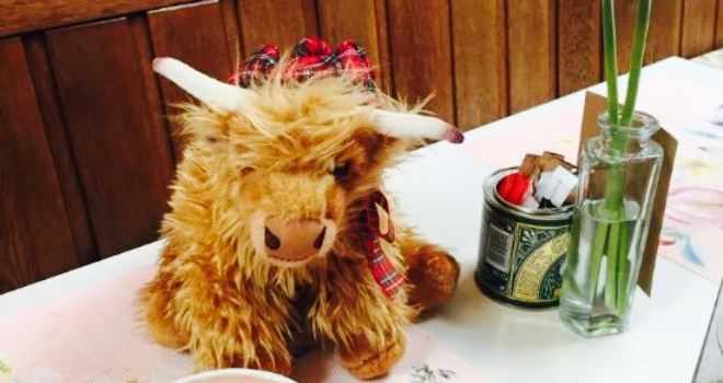 The Toffee Coo Tearoom